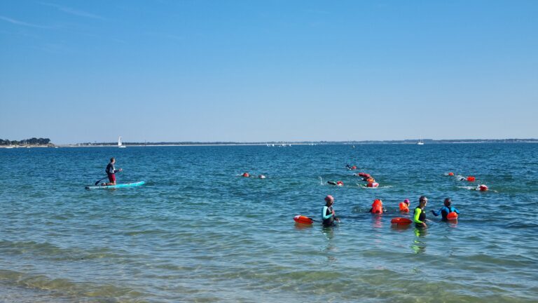 nageurs en eau libre à Quiberon